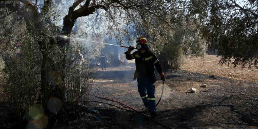 Υπό ελέγχο τρεις δασικές πυρκαγιές - Aύξηση περιπολιών Πυροσβεστικής